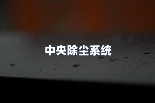 中央除尘系统